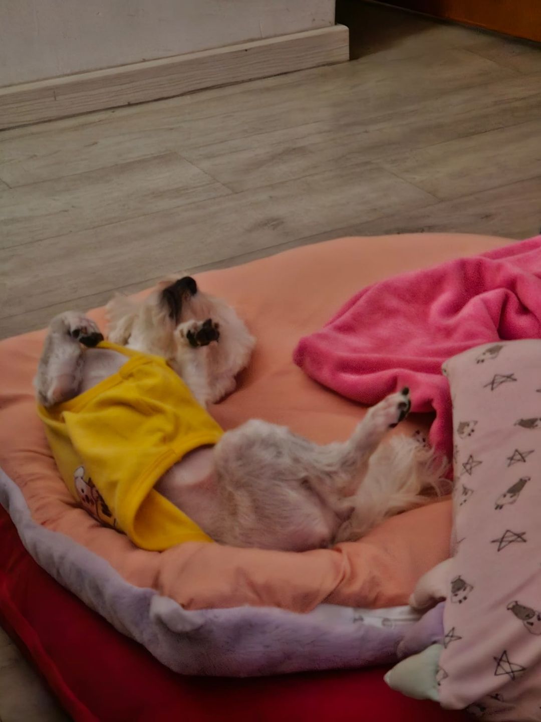 Customer photo review of Sleeping Blanket [𝗡𝗘𝗪 𝗖𝗢𝗟𝗢𝗨𝗥]