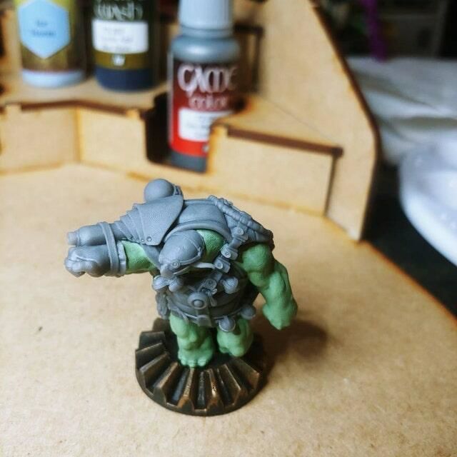 Customer photo review of Tortle Artificer