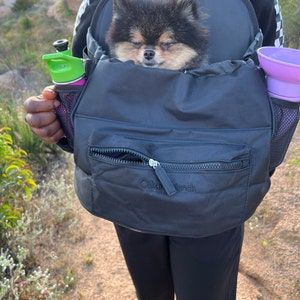 Customer photo review of Premium All-Black Pet Backpack