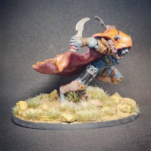 Customer photo review of Tabaxi Rogue, Female