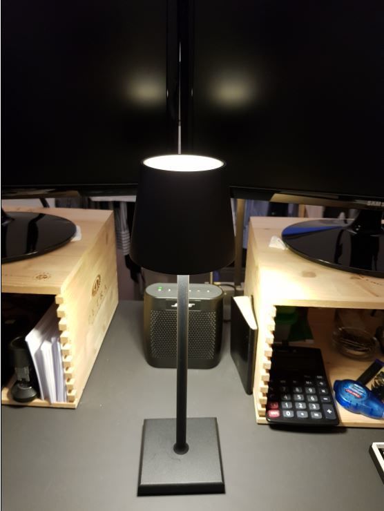 Customer photo review of Luminara™
