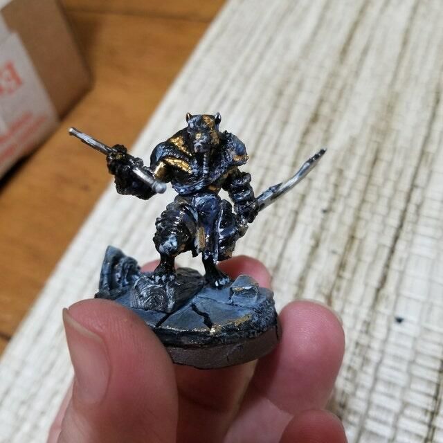 Customer photo review of Tabaxi Barbarian, Male