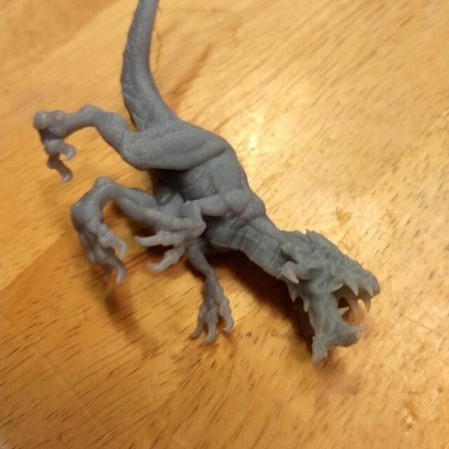 Customer photo review of Dire Raptor