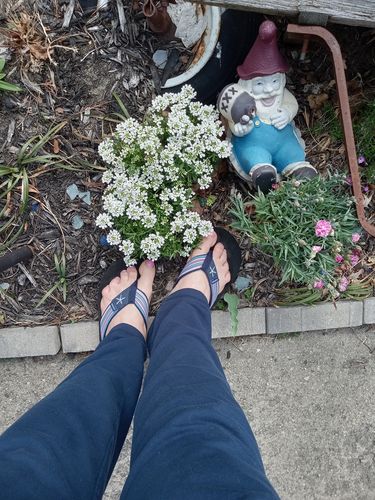 Customer photo review of Starfish Stripes