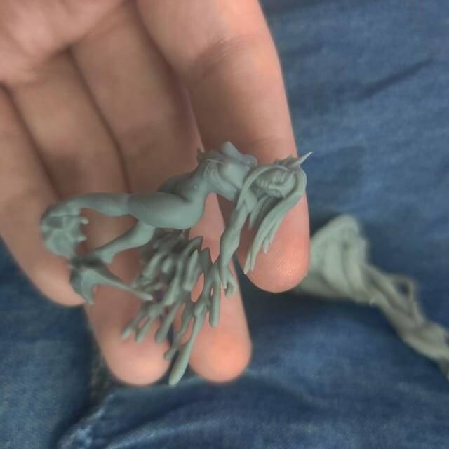 Customer photo review of Nymphea Triton Pinup