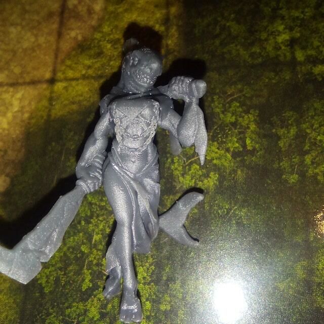 Customer photo review of Wereshark Lady