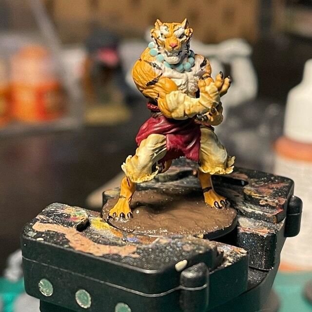 Customer photo review of Tabaxi Monk, Male