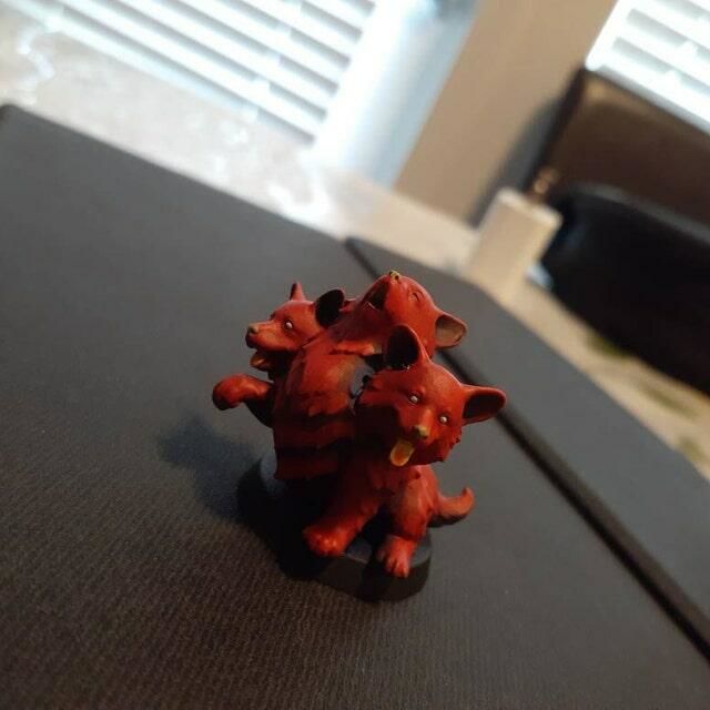 Customer photo review of Baby Cerberus