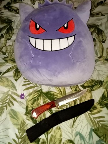 Customer photo review of Mystery Knife