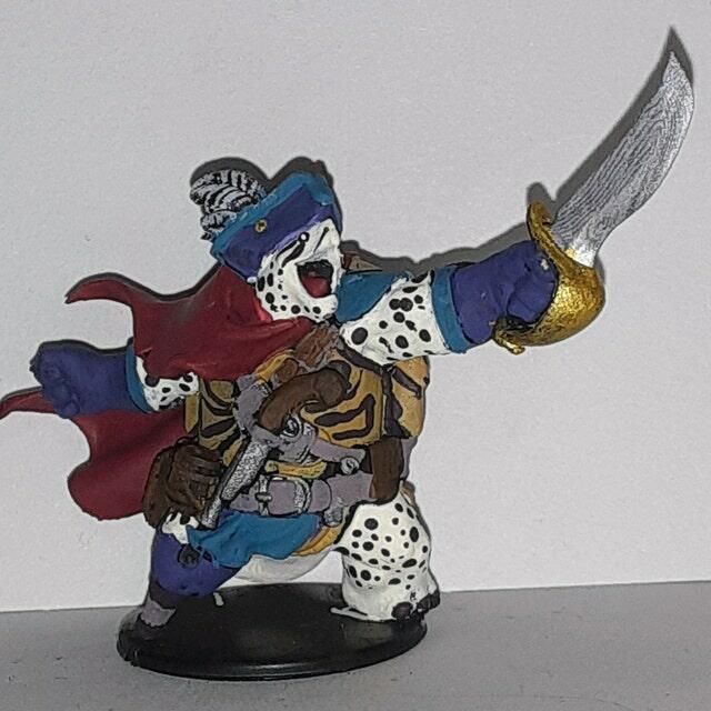 Customer photo review of Tortle Pirate