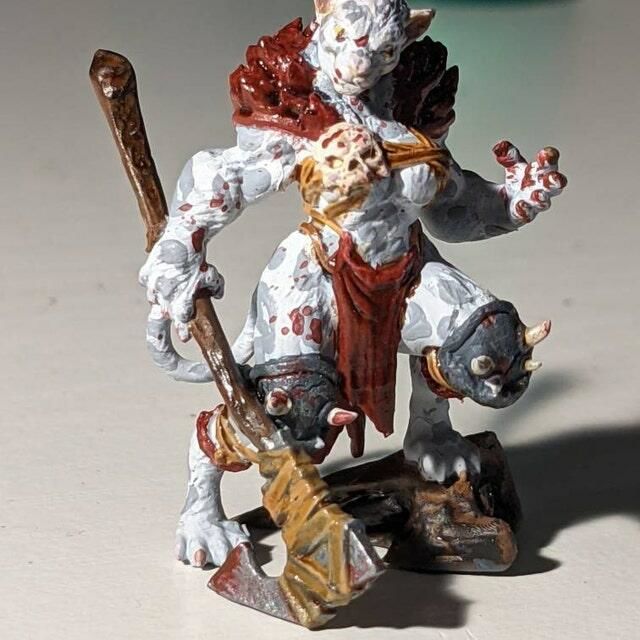 Customer photo review of Tabaxi Barbarian, Female