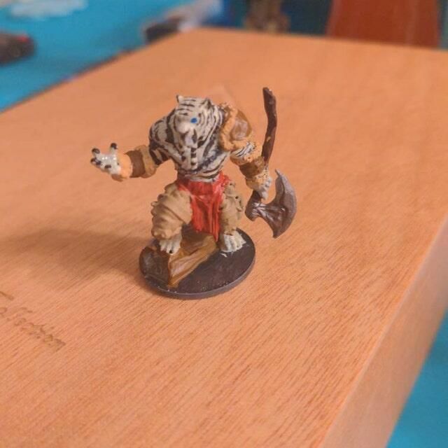 Customer photo review of Tabaxi Barbarian, Male