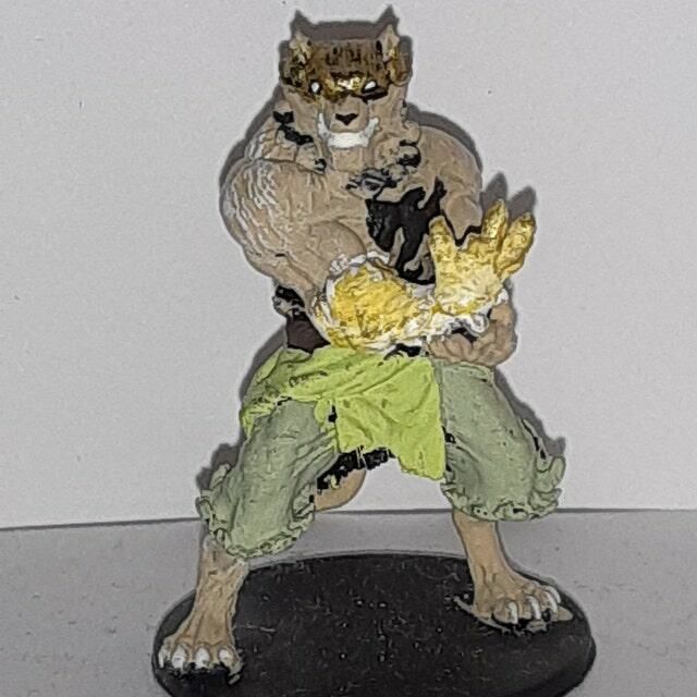 Customer photo review of Tabaxi Monk, Male