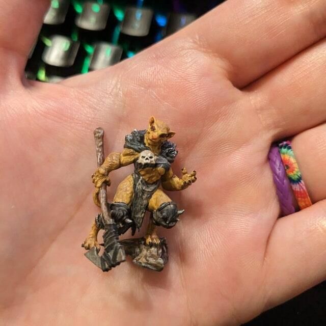 Customer photo review of Tabaxi Barbarian, Female
