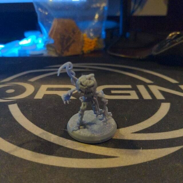Customer photo review of Pumpkin Warrior