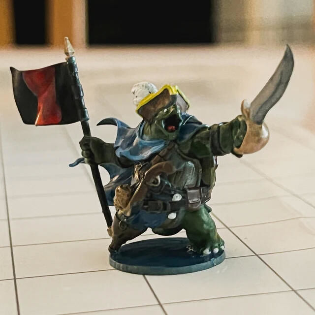 Customer photo review of Tortle Pirate