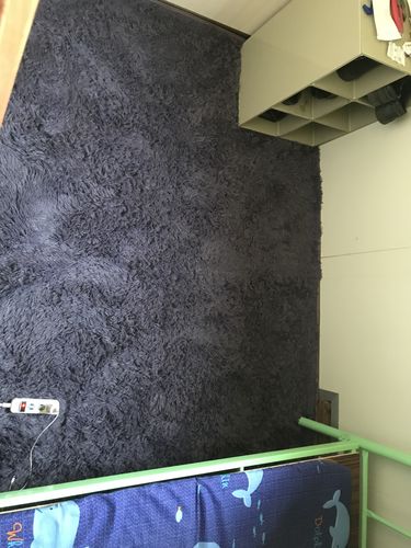 佶諺 review of 【尺寸訂製】絲毛長毛絨方型地毯 image 1 out of 1