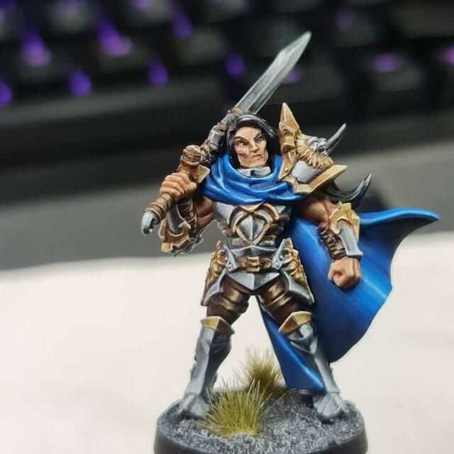 Customer photo review of Sigfrido Dragonbane,  Fighters Guild Hero