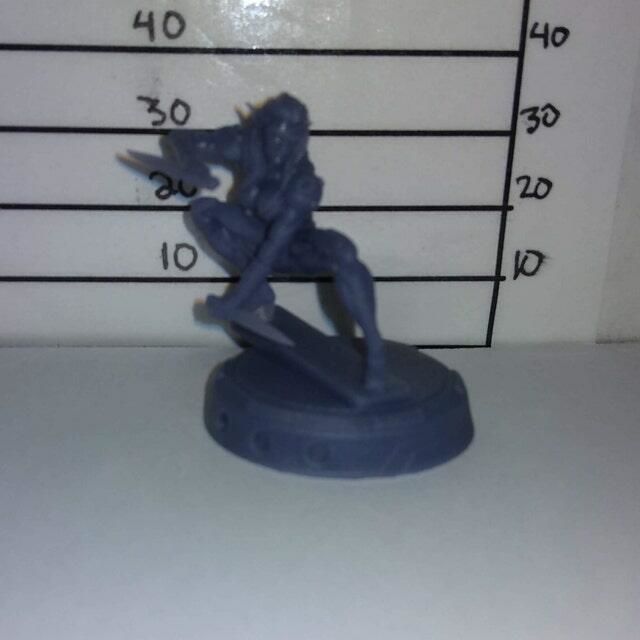 Customer photo review of Pink Sadness Female Elf Assassin