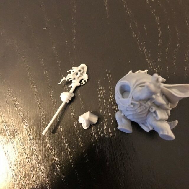 Customer photo review of Tortle wizard