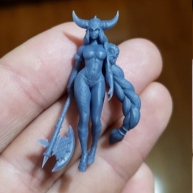 Customer photo review of Viking Girl Pinup