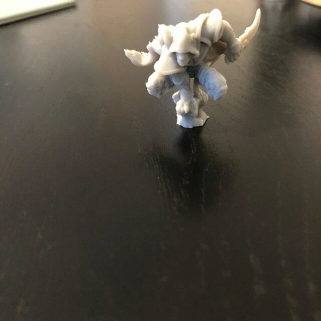 Customer photo review of Tabaxi Rogue, Male