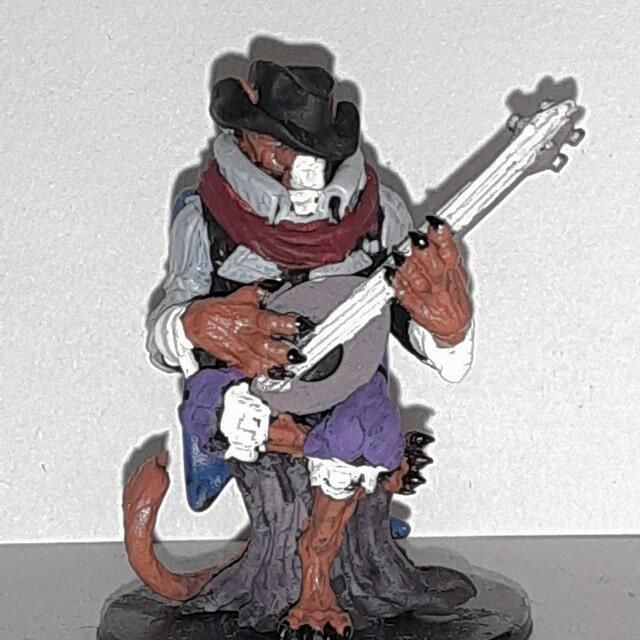 Customer photo review of Tabaxi Bard