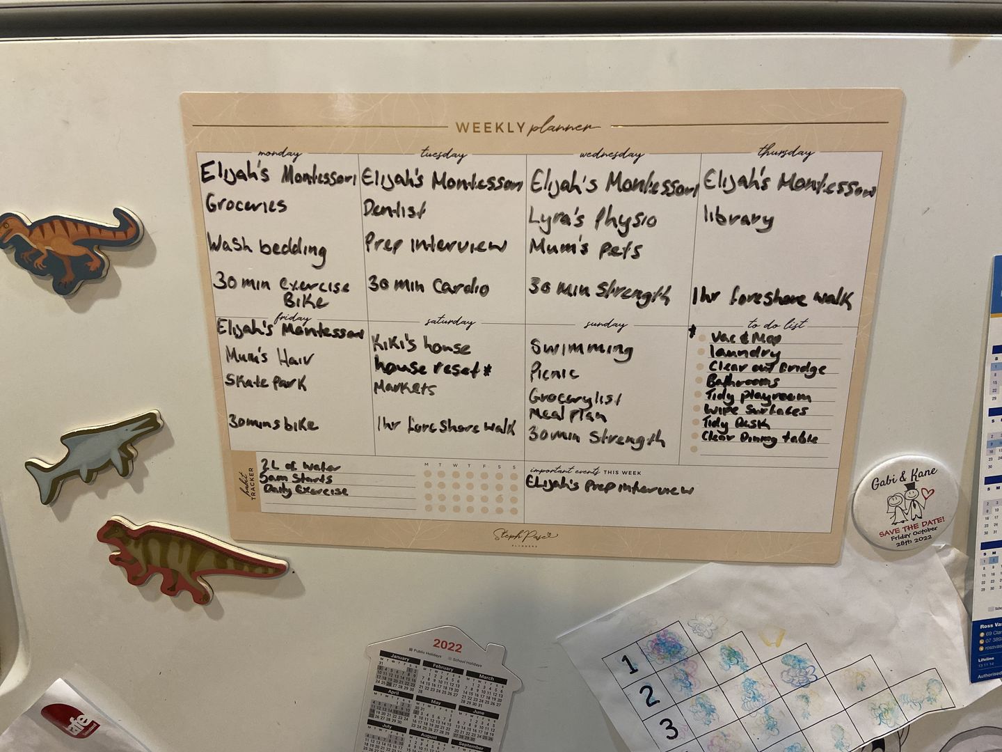 Customer photo review of NEW Blush Weekly Planner Magnet