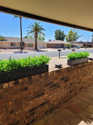 Customer photo review of Bulk 14" Faux Boxwood Shrubs Greenery Artificial Plants Outdoor UV Resistant Bulk
