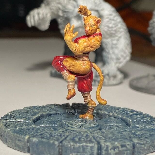 Customer photo review of Tabaxi Monk, Female
