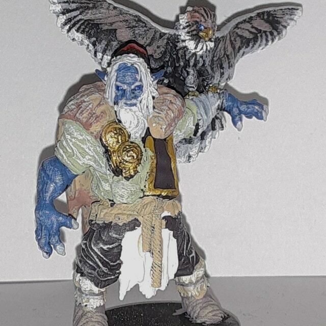 Customer photo review of Firbolg - Druid