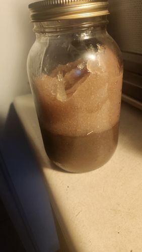 Customer photo review of Raw Full Spectrum Sea Moss