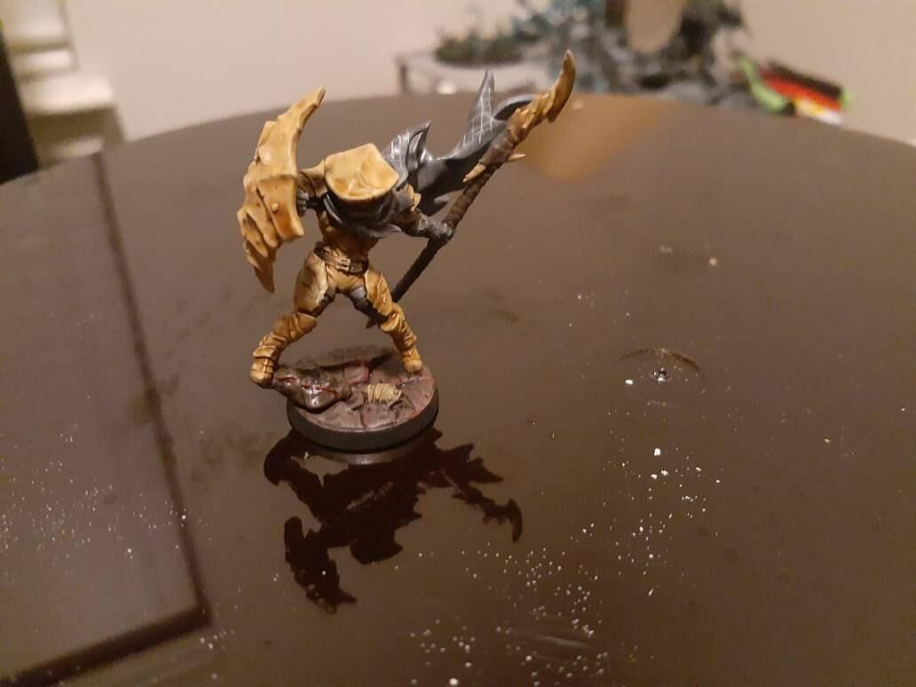 Customer photo review of Hiro Dustwalker