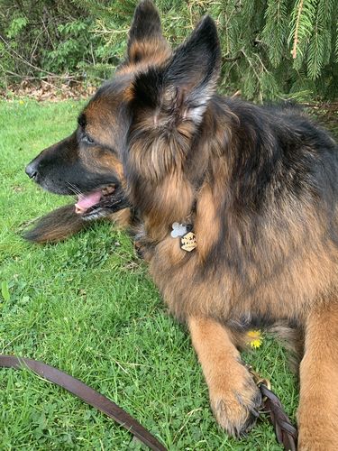 Customer photo review of Mountain Silicone