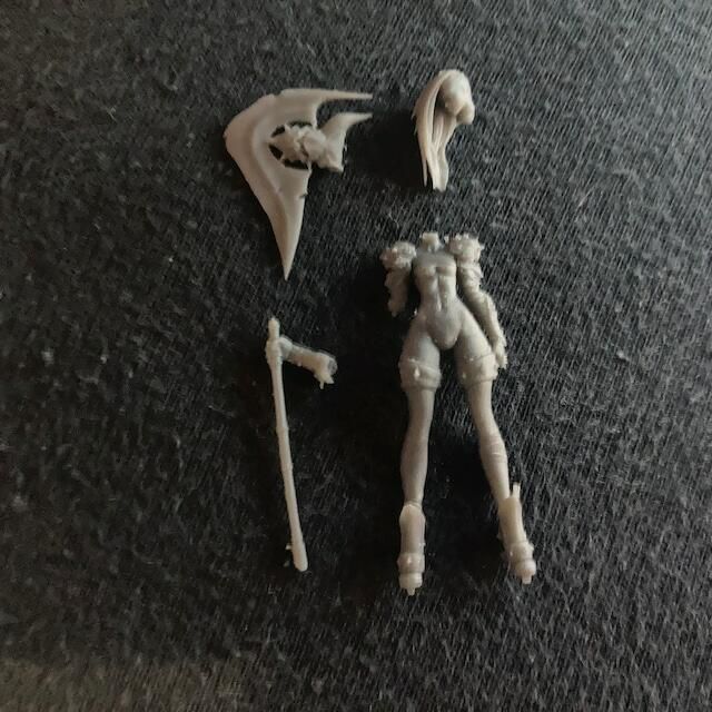 Customer photo review of Female Barbarian Pinup