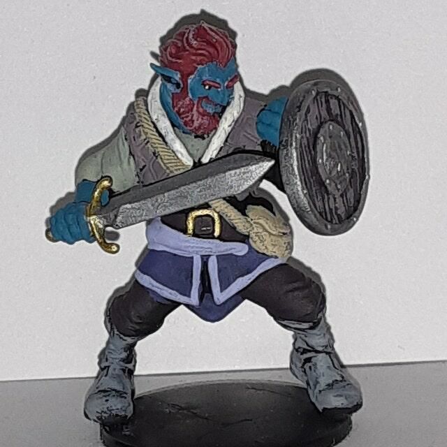 Customer photo review of Firbolg, Fighter