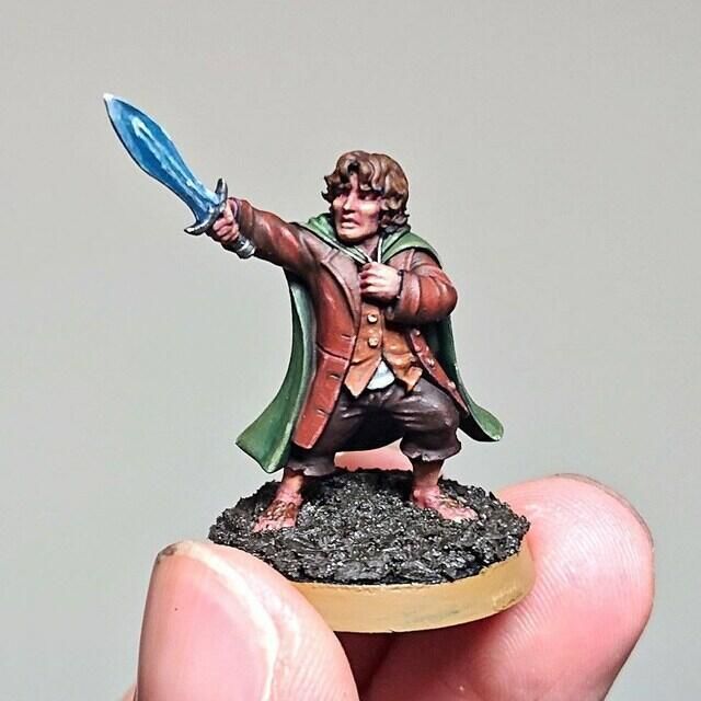 Customer photo review of Frodo - Hobbit