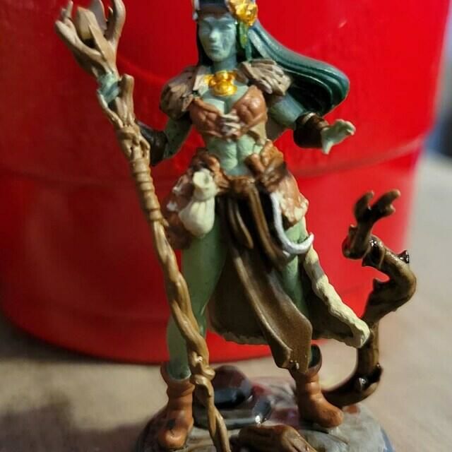 Customer photo review of Druid, Hero