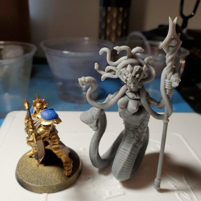 Customer photo review of Queen Sthenaria
