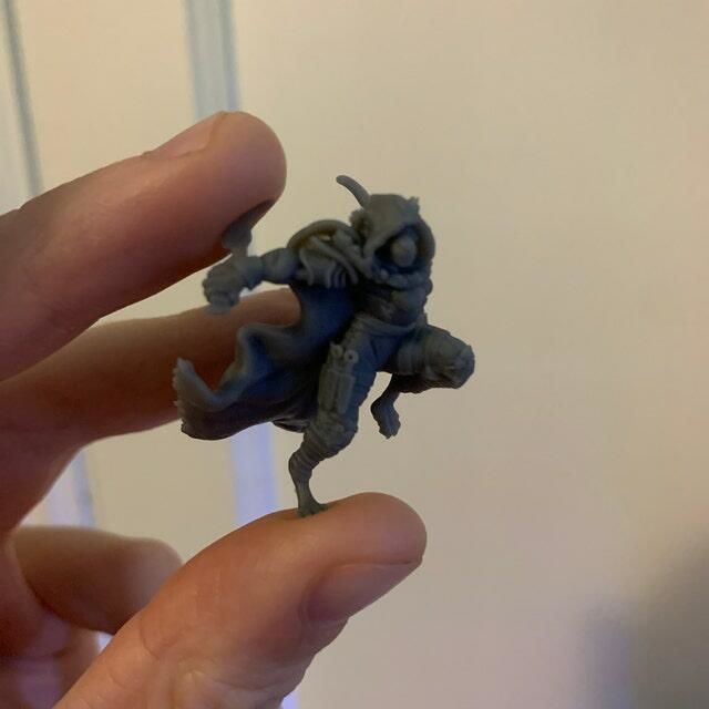 Customer photo review of Tabaxi Rogue, Female