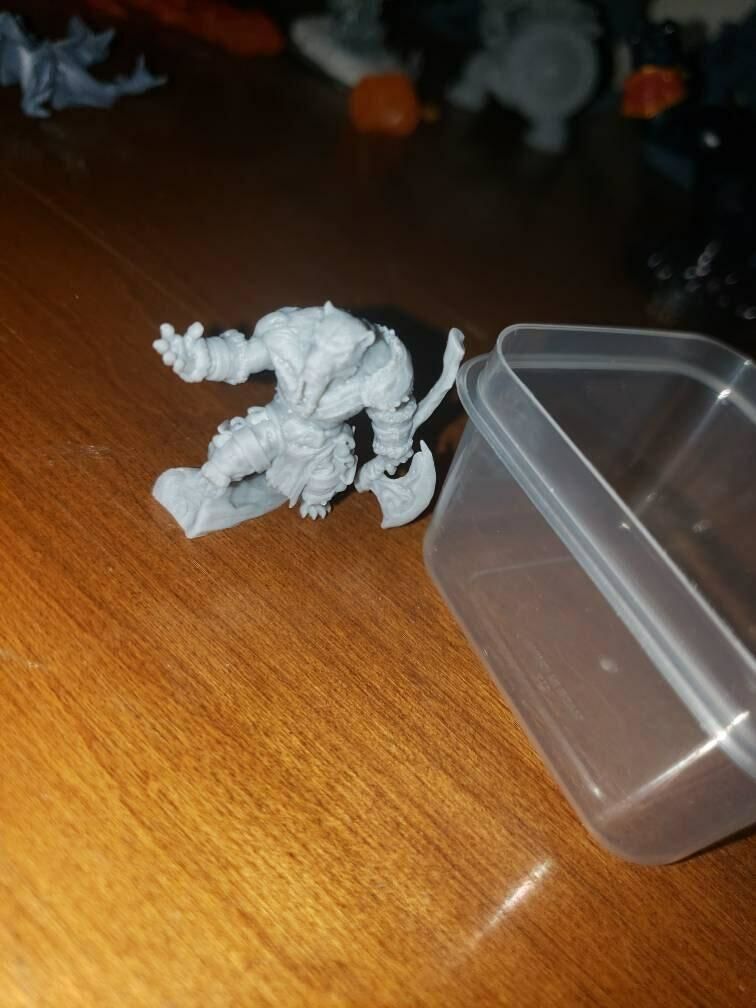 Customer photo review of Tabaxi Barbarian, Male