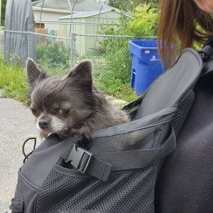 Customer photo review of Premium All-Black Pet Backpack