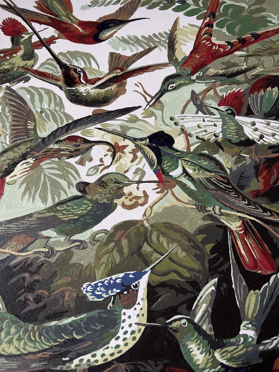 Customer photo review of Malen nach Zahlen - Trochilidae–Kolibris von Ernst Haeckel