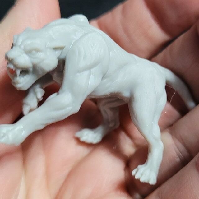 Customer photo review of Kaata, Princess on Panther