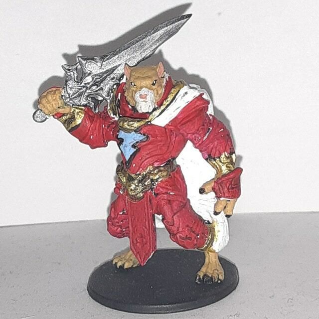Customer photo review of Tabaxi Paladin, Male