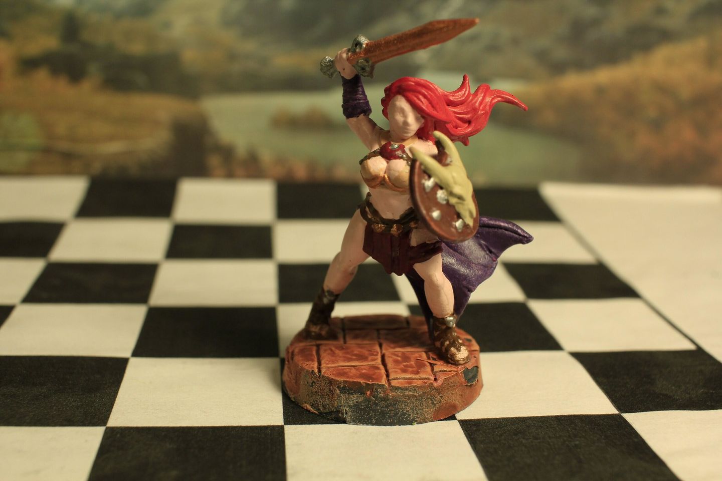 Customer photo review of Amazon Warriors