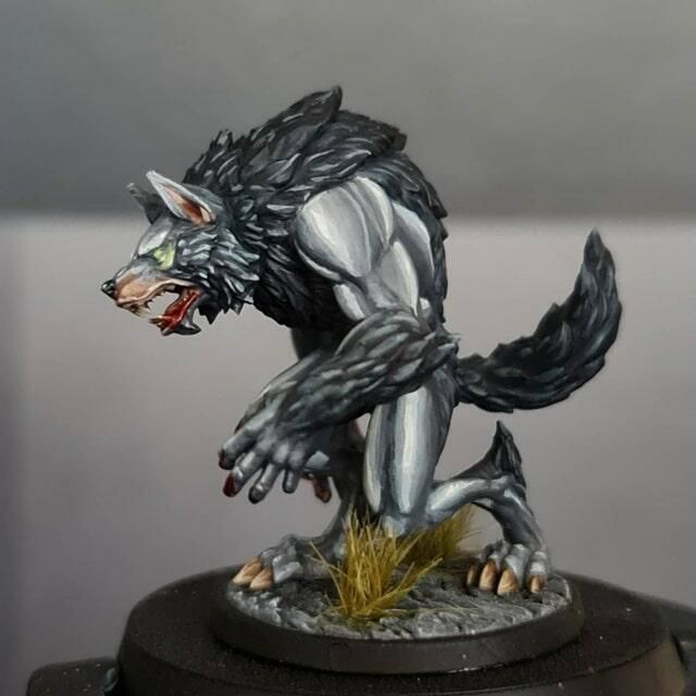 Customer photo review of Werewolf Commo