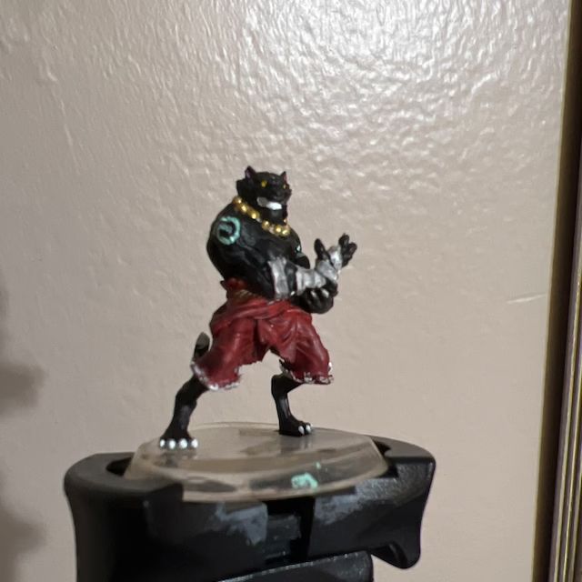 Customer photo review of Tabaxi Monk, Male