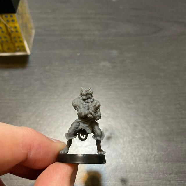 Customer photo review of Tabaxi Monk, Male