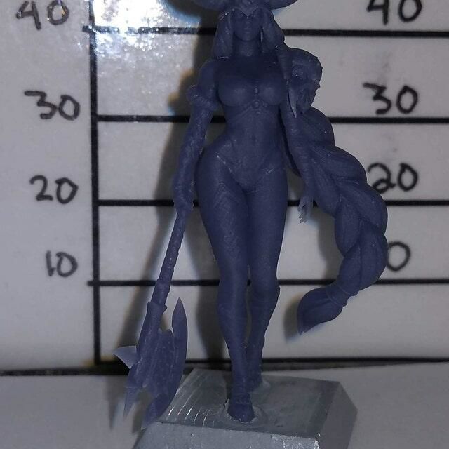 Customer photo review of Viking Girl Pinup